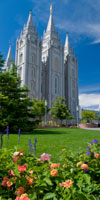 temple square tour