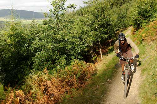 Mountain Biking