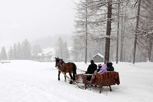 sleigh rides