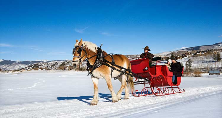 couple enjoying winter sleigh ride