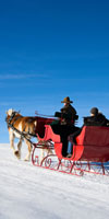 sleigh ride