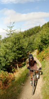 activity - biking