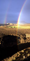 specialty excursions and activities