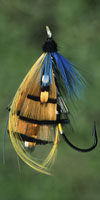 activity - fishing