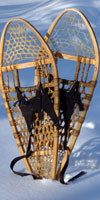 snowshoeing