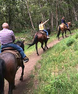 horseback riding